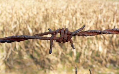 The Love of Captivity