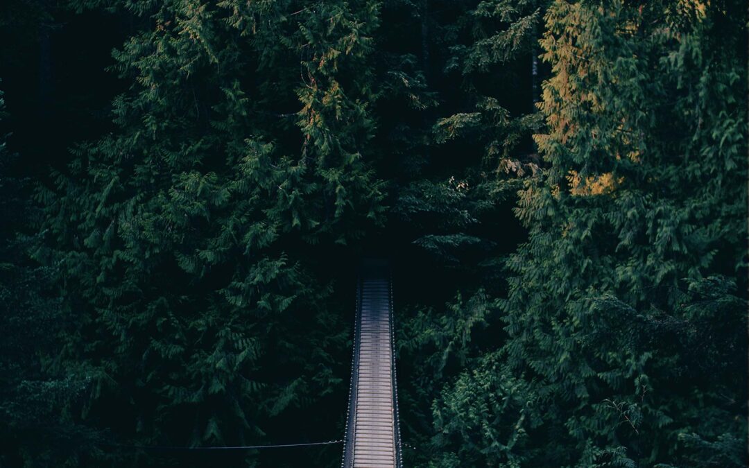 Why Are We Where We Are?