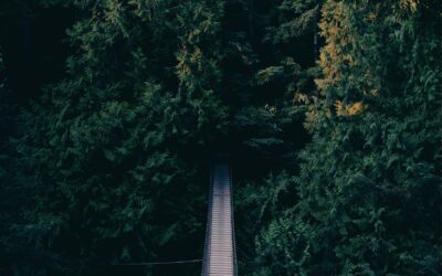 Why Are We Where We Are?