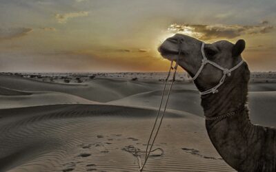 H to the izz-O V to the izz-A