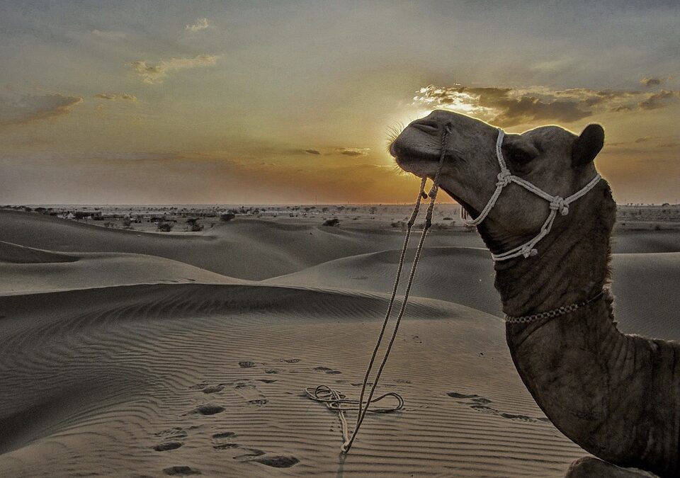 H to the izz-O V to the izz-A