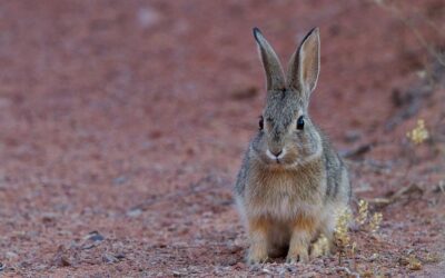 Fear:Bitchassness::Faith:Greatness