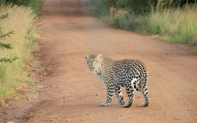 Resignation Letter 2014