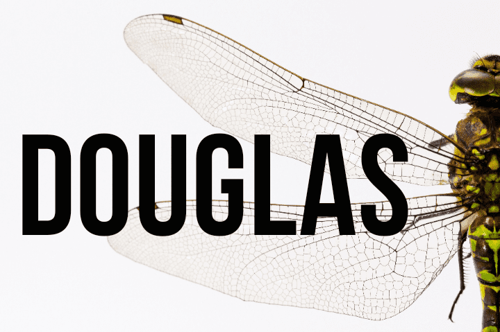 Douglas