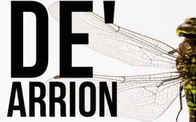 De’ Arrion