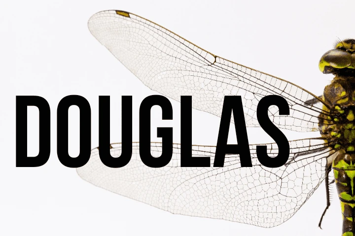Douglas
