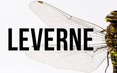 Leverne