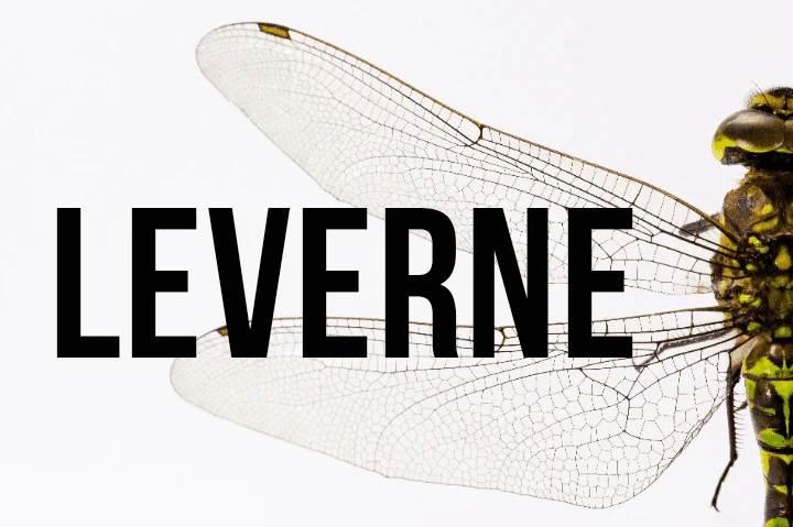 Leverne