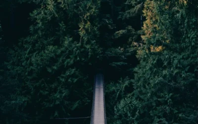 Why Are We Where We Are?