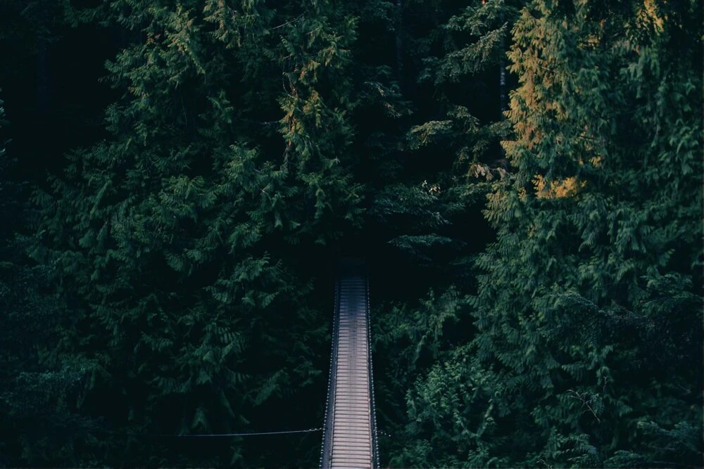 Why Are We Where We Are?